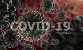 Коронавирусная инфекция (COVID-19) и ИТ